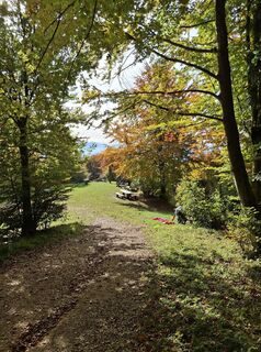 Фото с сайта Andrea Rudholzer во время экскурсии