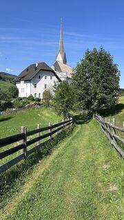 Foto von Mountain Cat ? ⛰️ entlang der Tour