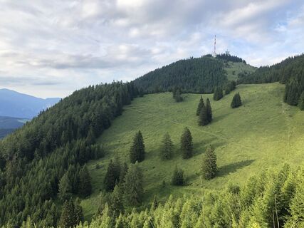 Foto von kviko entlang der Tour