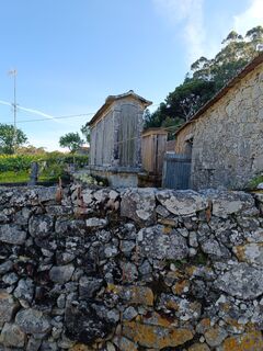 Fotografia z Edit Szoboszlay na trase