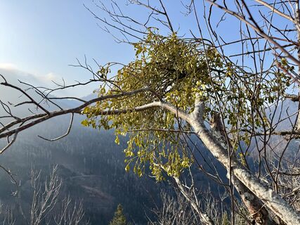 Fotografia z Natur_erleben_dg na trase