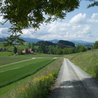 Weg vor Baumannshaus - Herzroute