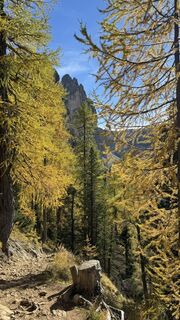 Fotografija s spletne strani ROBERTO BONIOTTI na poti