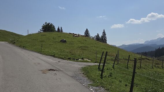 Photo de Gabriele Wagener le long du parcours