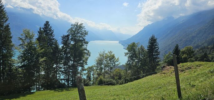 Fotografia z Andreas Bolliger na trase