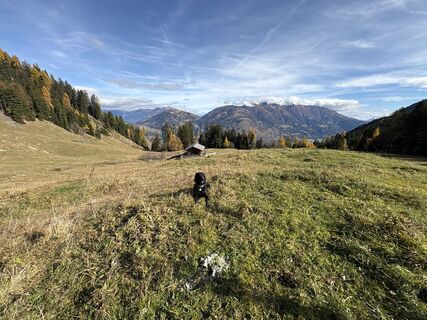 Fotografia z David 16 na trase