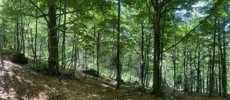 Foto von Toni Lerda entlang der Tour