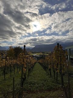 Fotografia z Cyrill Bischof na trase