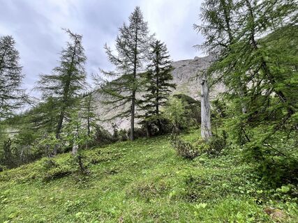 Photo de Reinhard Osimitz le long du parcours