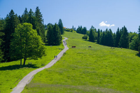 Auf dem Weg zum Berggasthof Neureuth