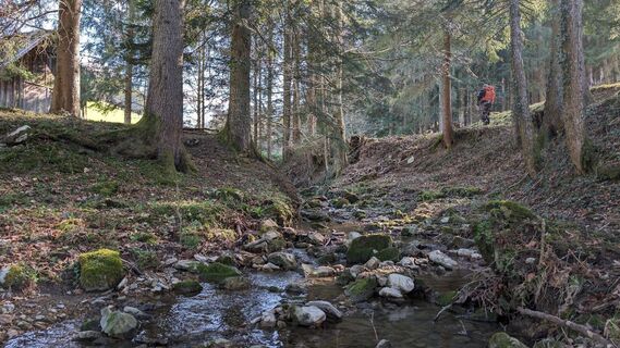 Fotografie z Klaus Lehner na trase