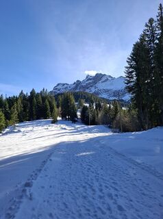 Foto von Maurer Silvia entlang der Tour