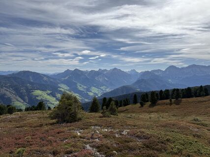 Foto från Frank de Vries under resans gång
