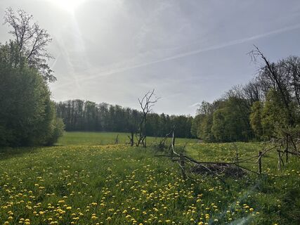 Photo de Norbert Herbig le long du parcours