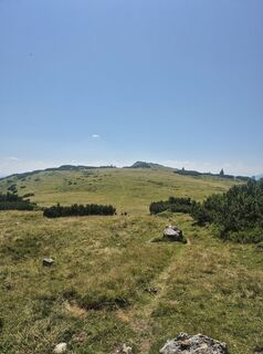 Photo de Steffen Kollmann le long du parcours