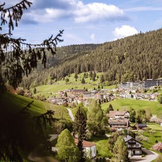 Ortsansicht von Tonbach