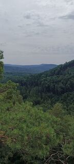 Foto von Uwe Bähtz entlang der Tour