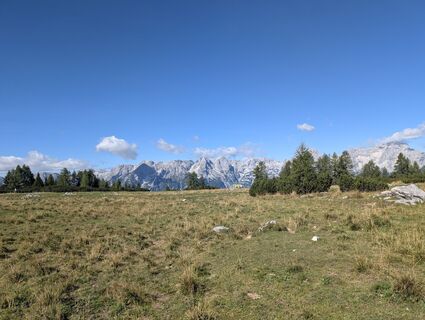 Photo de danistachi le long du parcours