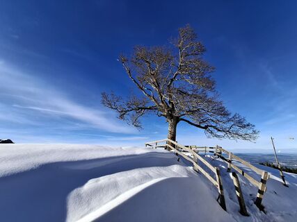 Foto von Maurer Silvia entlang der Tour