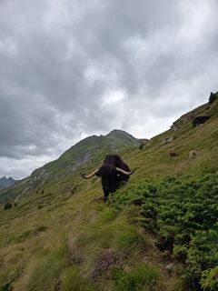 Foto von Aner entlang der Tour