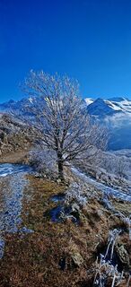 Photo de Antoine berthier le long du parcours