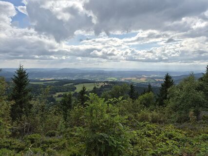 Zdjęcie z Wollomator wzdłuż trasy