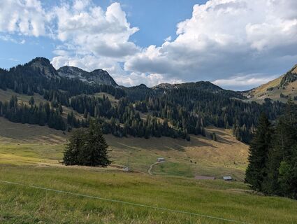 Photo de Philip N. le long du parcours