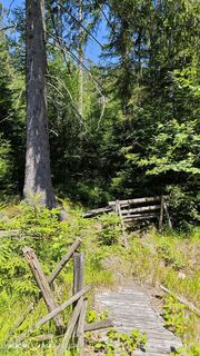 Photo de damilaja242 le long du parcours