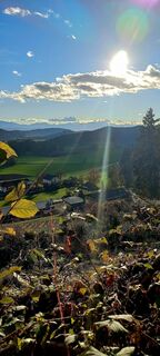 Foto von Schoby entlang der Tour