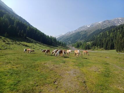 Foto von Walter Brunner 5 entlang der Tour