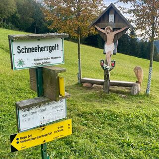 Kruckenbrettl - Trail