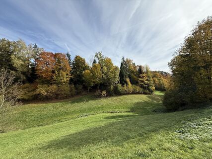 Fotografia z Florian Leopold Stonig na trase