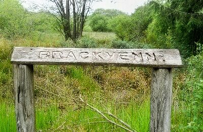 Brackvenn