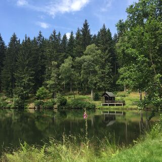 Reichenbacher Teich