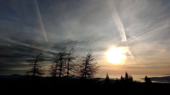 Fotografia z passiflora71 na trase