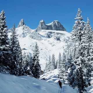 Drei Türme im Gauertal