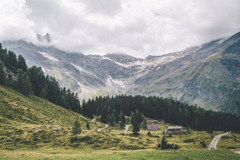 Rauriser Urwald