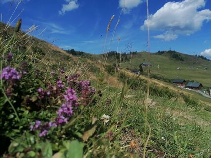Photo de Turbinio le long du parcours