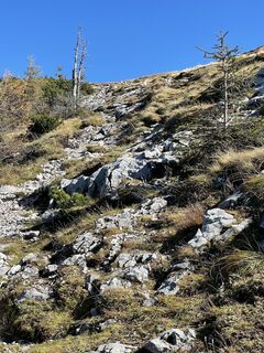 Fotografia z Richard Niedermüller na trase