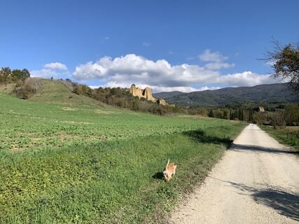 Foto da Andrea Morotti lungo il tour