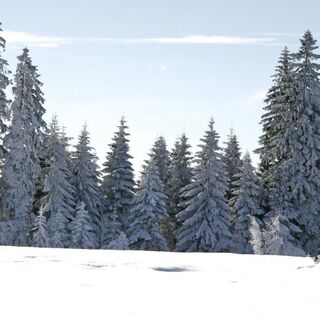 Winterlandschaft in Baiersbronn