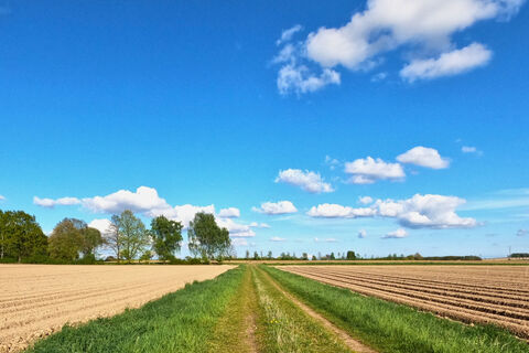 Weite Frühlingslandschaft mit Feldweg zwischen Seedorf und Barum