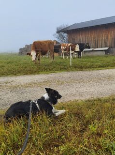 Foto von Henk de Vries entlang der Tour