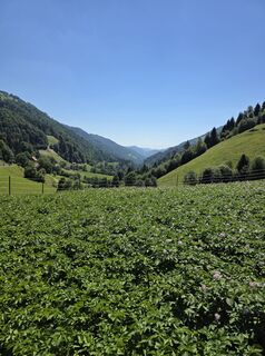 Photo de Walter Dienstl le long du parcours