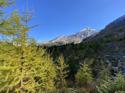 Fotografija s spletne strani Dominik Streun na poti