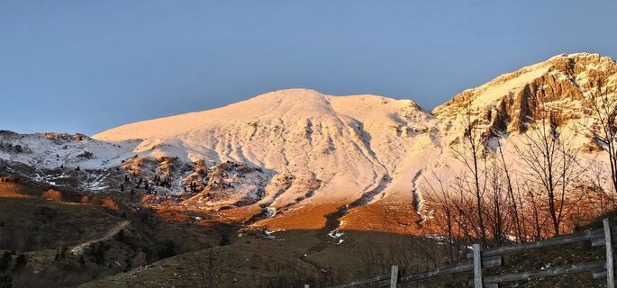 Fotografija s spletne strani Nico na poti