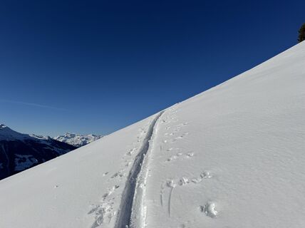 Photo de Emmanuel Olivotti le long du parcours