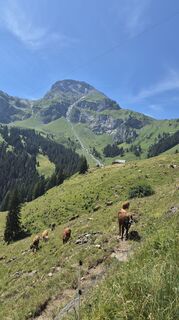 Foto von Andreas Wagner 12 entlang der Tour