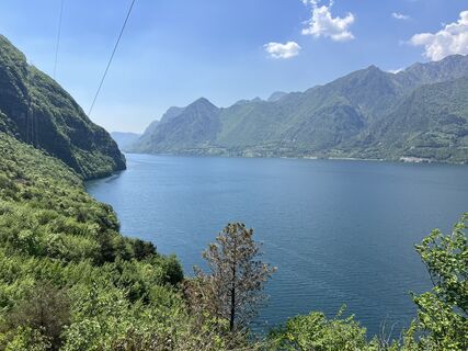 Fotografia z Heikoala na trase