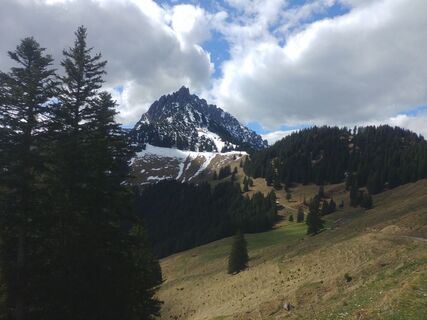 Fotografia z Iris Perkmann na trase